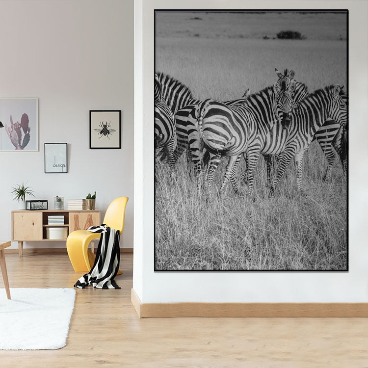 Tela Inteira Decorativa Zebra III para Sala - Mundo Animal